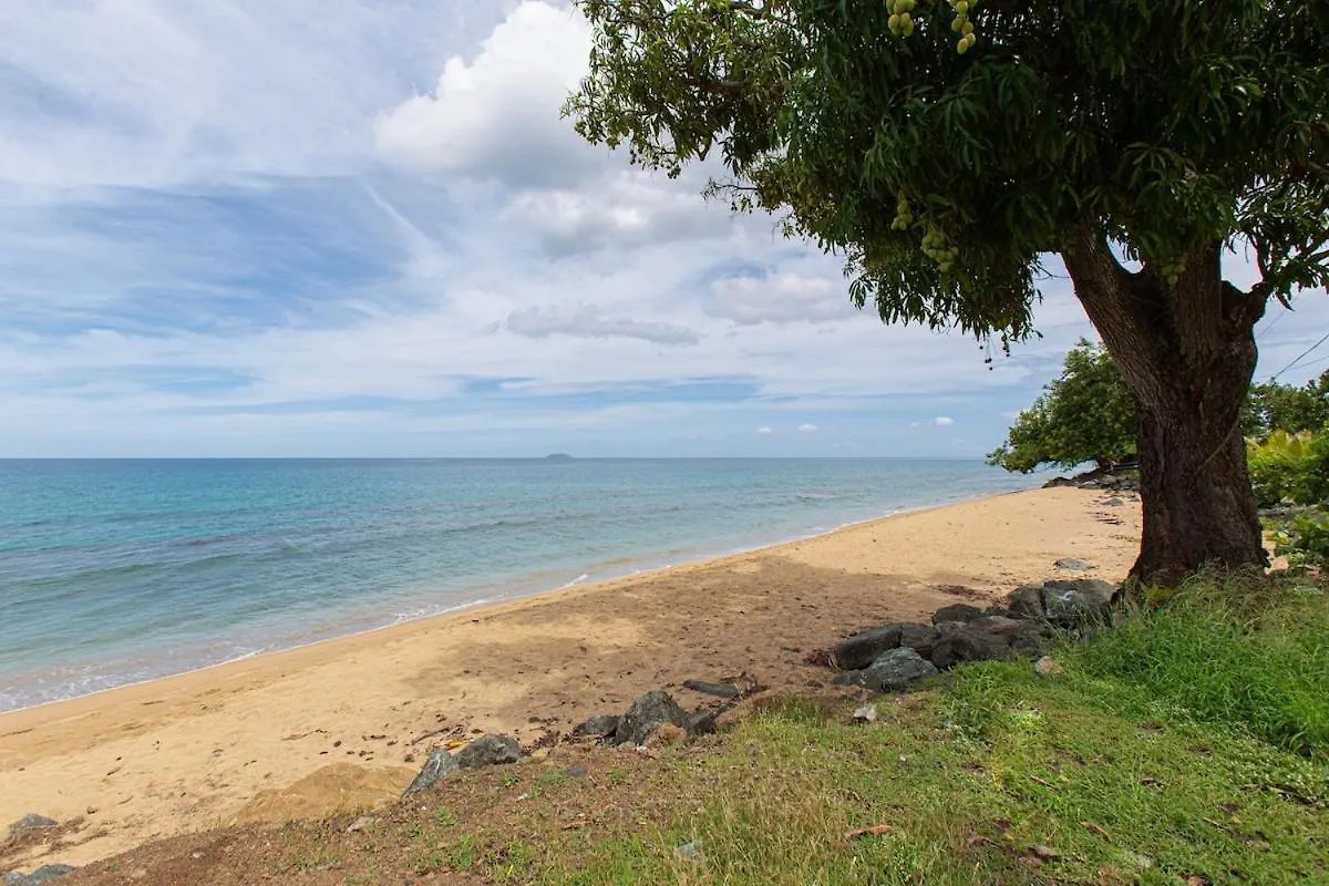 Stella Beach House 波多黎各